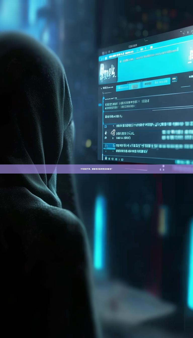 KS自助下单，揭秘低价服务背后的秘密？