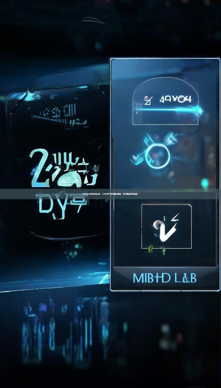 dy24小时秒单业务，24小时下单网址揭秘，秒到账操作指南？