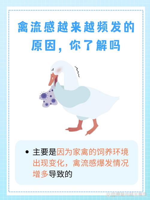 北京禽流感最新消息，附最新消息数据