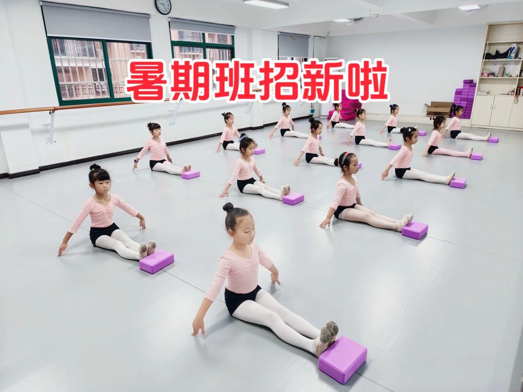 小学生舞蹈视频大全 儿童舞蹈教学入门基础