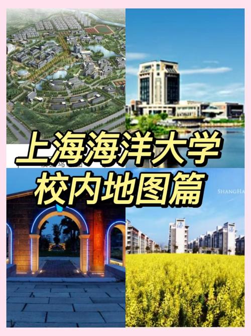 上海海洋大学研究生院地址在哪里，怎么去最方便