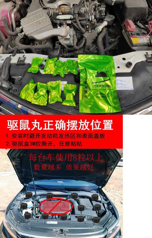 汽车发动机舱防鼠办法大揭秘，这些方法超有效