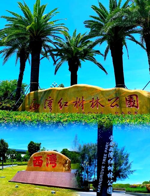 一日游好去处推荐：西湾红树林公园及其他特色景点介绍